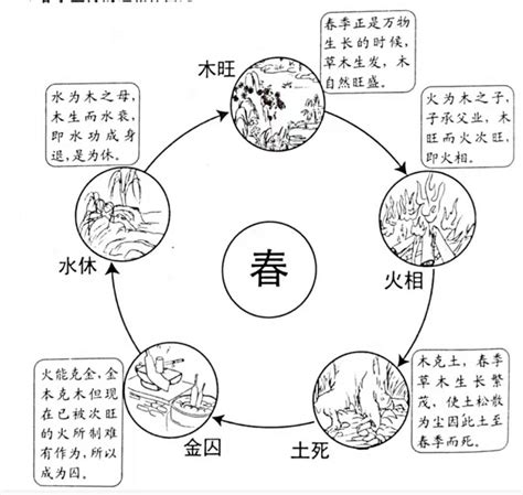 金木 死|五行的旺、相、休、囚、死